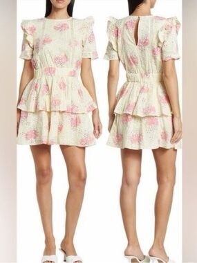 Walter Baker Cassandra Eyelet Dress Size Large Floral